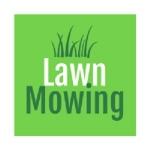 Rodman lawn mowing and care