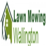 Lawn Mowing Wallington