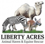 Liberty Acres Animal Haven & Equine Rescue
