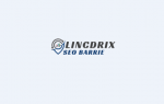 Lincdrix SEO