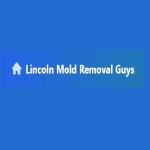 Lincoln Mold Removal Guys
