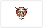 Bull Locks LTD