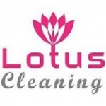 lotus upholstery cleaning