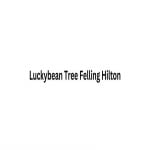 Luckybean Tree Felling Hilton