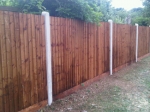 I Wallond Fencing