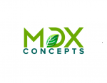 MDX Concepts