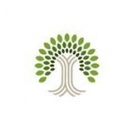 Mercer Tree Service
