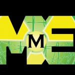 Meridian Environmental