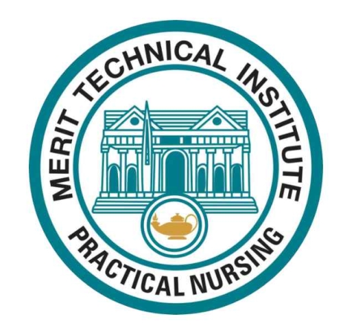 Merit Technical Institute