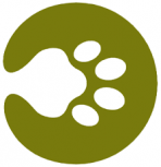 MesoPet