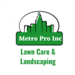 Metro Pro Inc