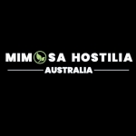 Mimosa Hostilis Australia