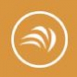 Mindarc Digital Agency