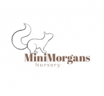 Mini Morgans Nursery