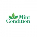 Mint Condition Commercial Cleaning Greenville