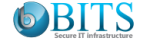 bits secure it infrastructure in dubai
