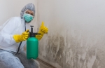 Mold Solutions of Colorado Springs