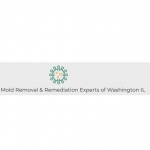 Mold Removal & Remediation Experts of Washington IL