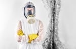 Mold Experts of Seattle