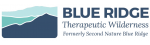 Blue Ridge therapeutic wilderness