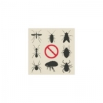 Exterminateur Laval Extermination