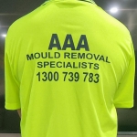 AAA Mould Removal