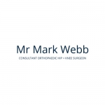 Mr Mark Webb, Consultant Orthopaedic Surgeon