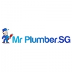 Mr Plumber Singapore - West