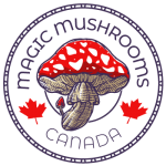 Buy Magic Mushrooms Canada