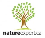 Paysagement Nature Expert