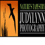 Nature's Tapestry Photo Tours