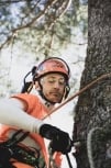 NelsonTreeService.co.nz