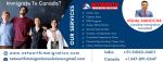 networth immigration Solutions