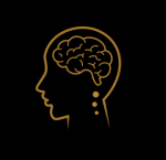 Neuroplasticity St. Pete