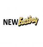 neweastbay.com-best Jordan 3 Replica