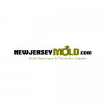 NewJerseyMold.com
