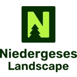 Niedergeses Landscape