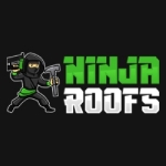 Ninja Roofs
