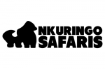 Nkuringo Safaris