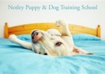 Notley Puppy and Dog Training School