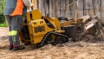 Nottingham Stump Grinding
