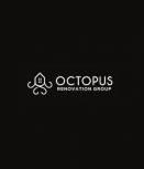 Octopus Renovation Group