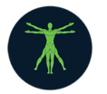 Whole Body Health