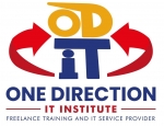 one direction institute