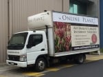 Online Plants