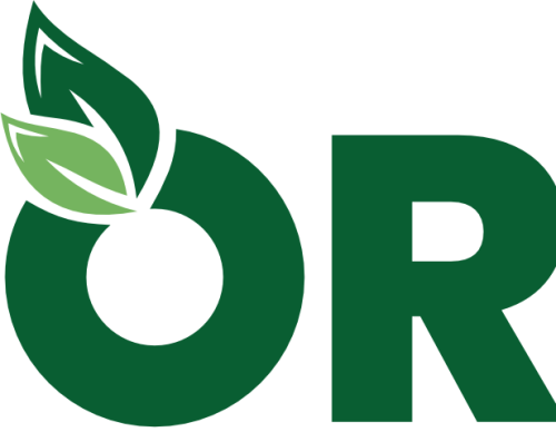 Organic Fresh India