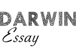 darwinessay.net
