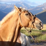 Trekking Travel Expediciones