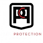 Paint Protection of Charlette