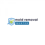 Palmdale LA Mold Services